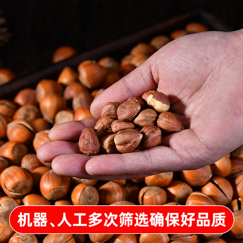 东北特产开口大颗粒榛子原味手拍炒货坚果香脆可口美国大榛子干果 - 图0