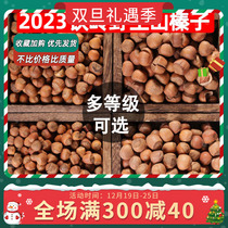 New cargo hazelnut Northeastern special production of fresh Liaoning Tieling wild hand clatter fried and cooked opening hazelnut nut dried fruit