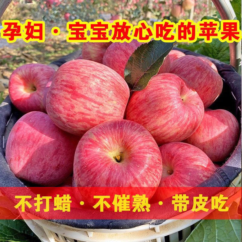 超划算苹果新鲜水果庆阳当季高原红富士苹果5斤10斤整箱现发-图0