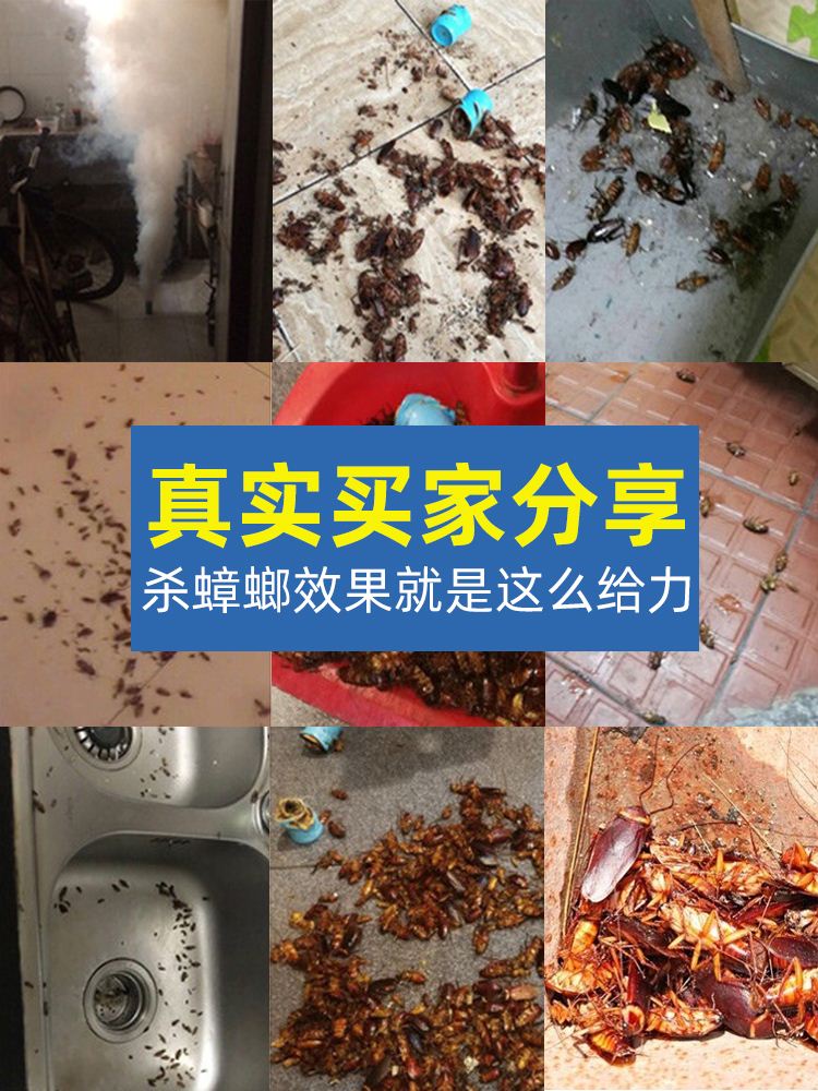 灭蟑螂药一扫净家用非无毒烟雾熏片除消杀虫剂绝杀神器一窝全窝端-图3