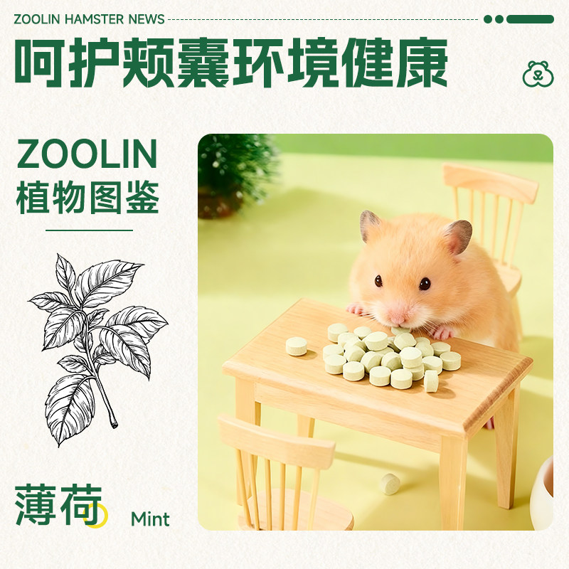 ZOOLIN仓鼠薄荷糖仓鼠零食粮食金丝熊降火薄荷磨牙营养辅食饲料,淘宝优惠券,粉丝福利购,淘宝优惠卷