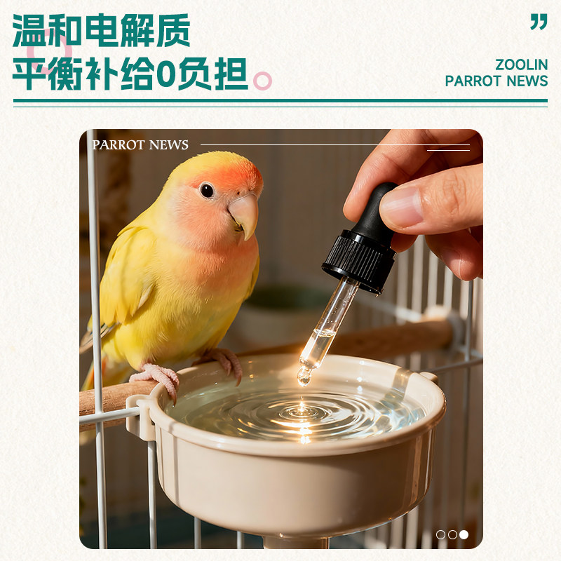 ZOOLIN鹦鹉电解质鸟用补充营养牡丹玄凤和尚保健品多维生素葡萄糖,淘宝优惠券,粉丝福利购,淘宝优惠卷