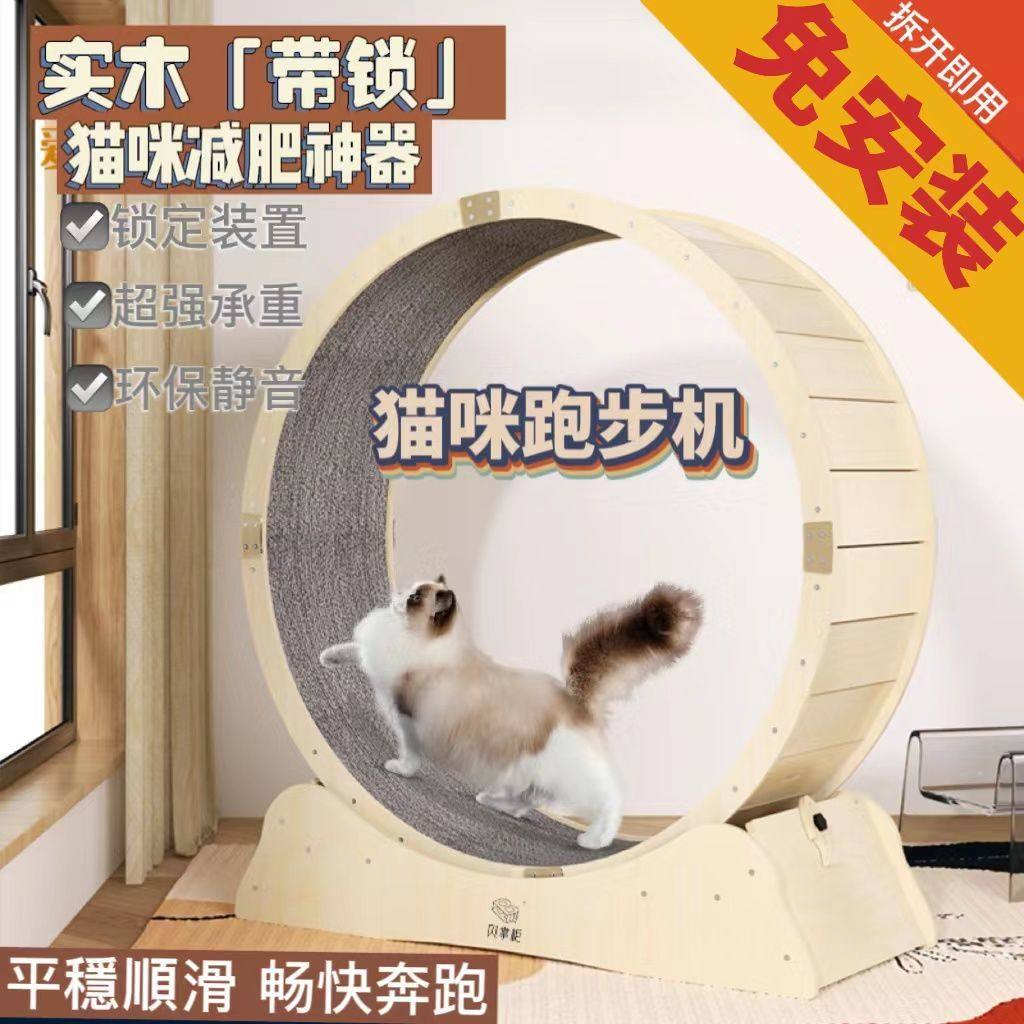 Caitec 犬のおもちゃ ソフト タイヤ プール ペットグッズ 中型犬 大型犬 小型犬 投げる 水場 車 追いかける 運動不足 最大54 Offクーポン 運動不足