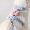 Cat traction rope for walking cats to prevent them from breaking away and going out