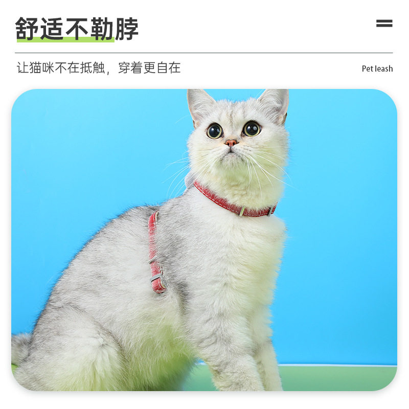 宠物牵引绳可爱兔猫咪牵引绳遛猫绳防挣脱可调节胸背兔子出行,淘宝优惠券,粉丝福利购,淘宝优惠卷