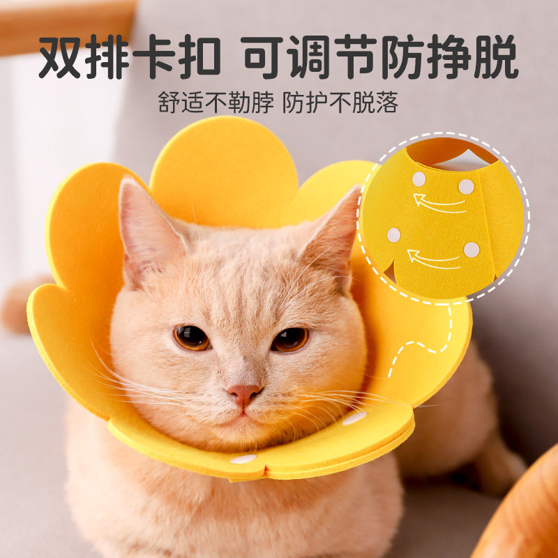 伊丽莎白圈猫咪绝育项圈圈防舔颈圈头套狗狗脖圈宠物用品防咬,淘宝优惠券,粉丝福利购,淘宝优惠卷