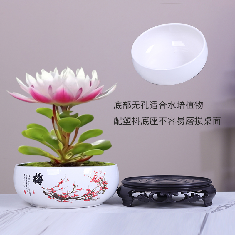 大号铜钱草花盆陶瓷水仙花盆睡莲碗莲绿萝无孔金钱清仓水培专用盆 - 图1