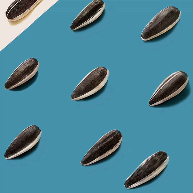 海底捞原味瓜子袋装坚果炒货葵花籽大瓜子追剧年货节休闲零食批发,淘宝优惠券,粉丝福利购,淘宝优惠卷