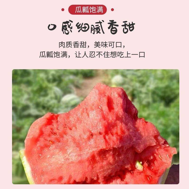 现摘新鲜小西瓜2K4K西瓜手撕薄皮一整箱有籽无籽水果冰淇淋糖丸