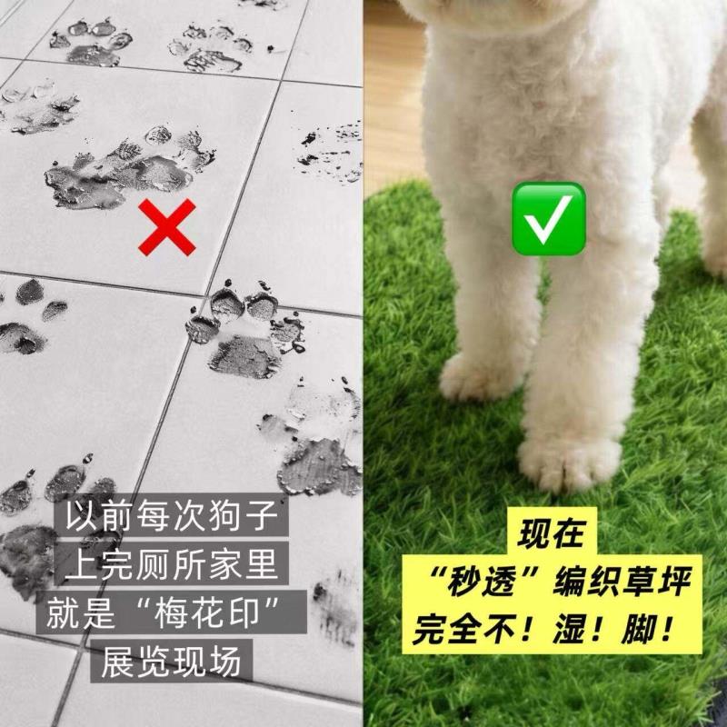 Dog lawn toilet simulation pee pad lure
