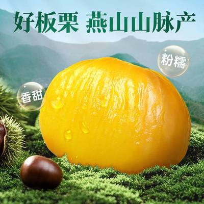 百草味即食板栗仁50gx10袋坚果零食熟制甘栗仁健康食物原味燕山