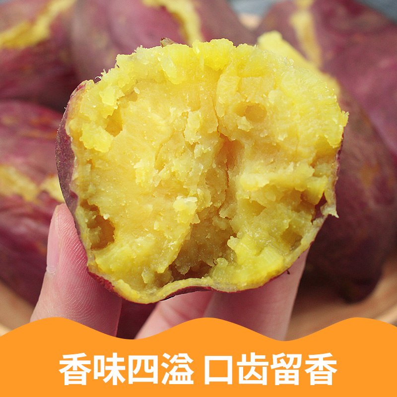 新鲜现挖农家黄心蜜薯糖心红薯新鲜5斤番薯沙地烤地瓜农科院山芋
