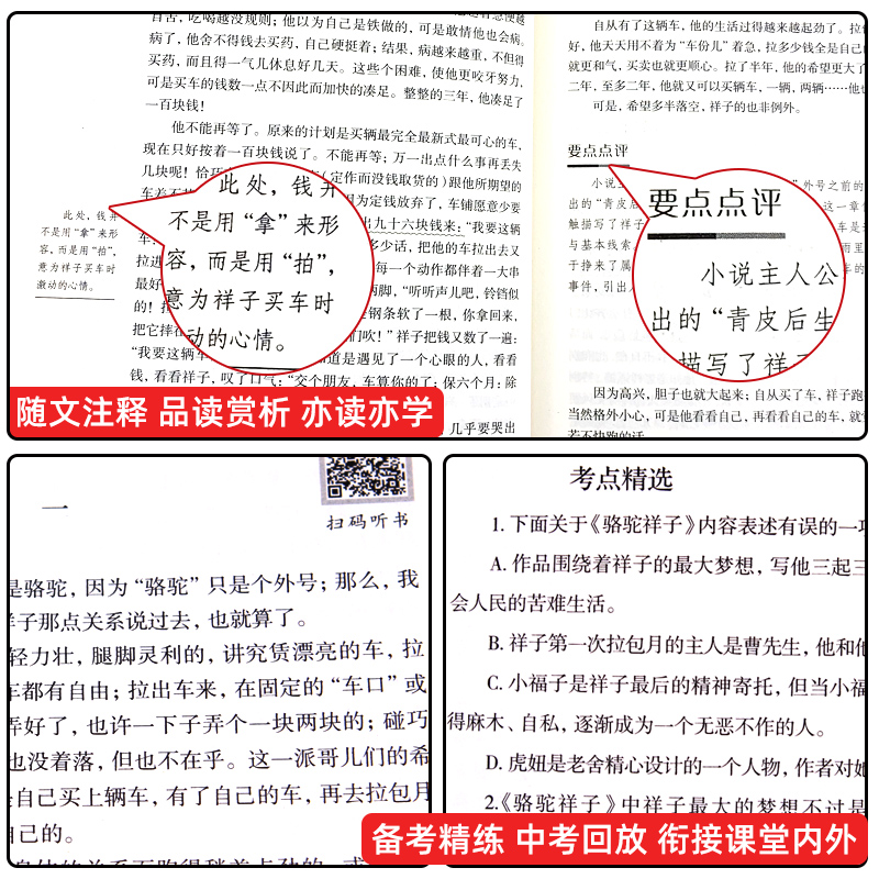 初中必读名著十二本 初一课外阅读书籍上册语文中考读物全套中学生老师朝花夕拾鲁迅原著正版海底钢铁12七年级课外书推荐骆驼祥子 - 图0