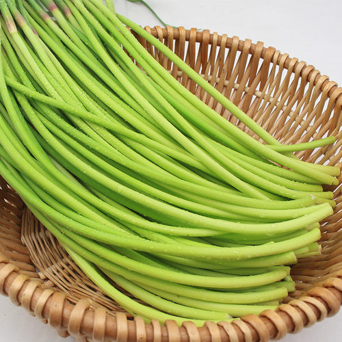 新货每天现拔河南新鲜翡翠蒜苔应当季蔬菜红帽蒜苔薹蒜青蒜苗 - 图2