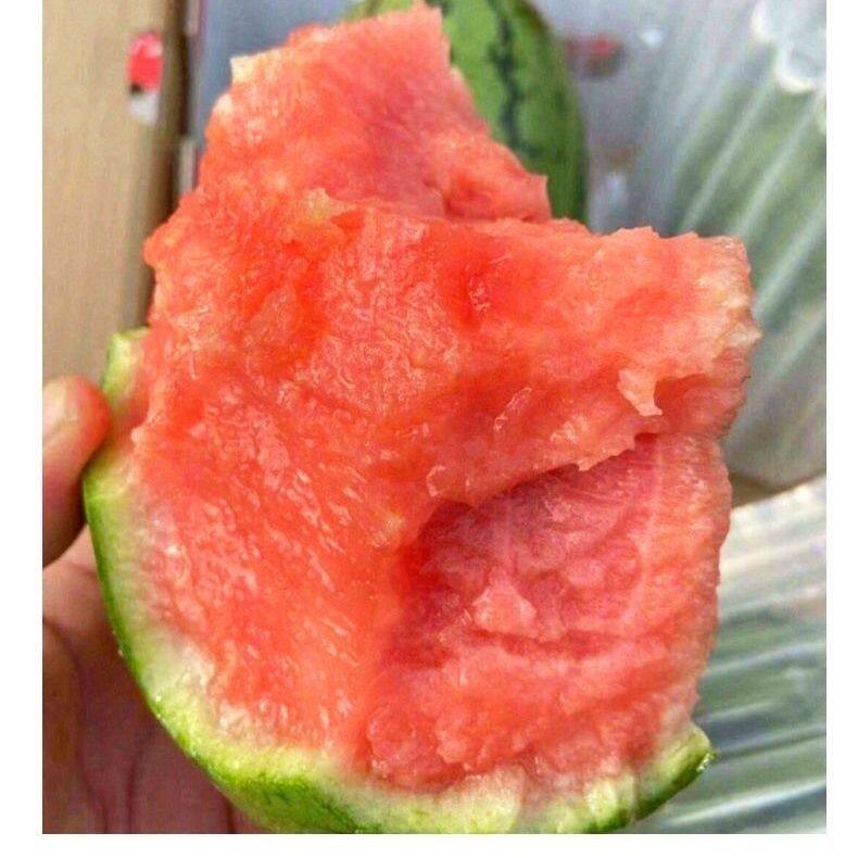 现摘新鲜小西瓜2K4K西瓜手撕薄皮一整箱有籽无籽水果冰淇淋糖丸