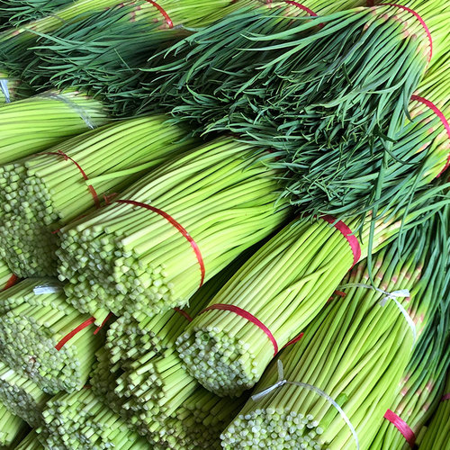 新货每天现拔河南新鲜翡翠蒜苔应当季蔬菜红帽蒜苔薹蒜青蒜苗 - 图3