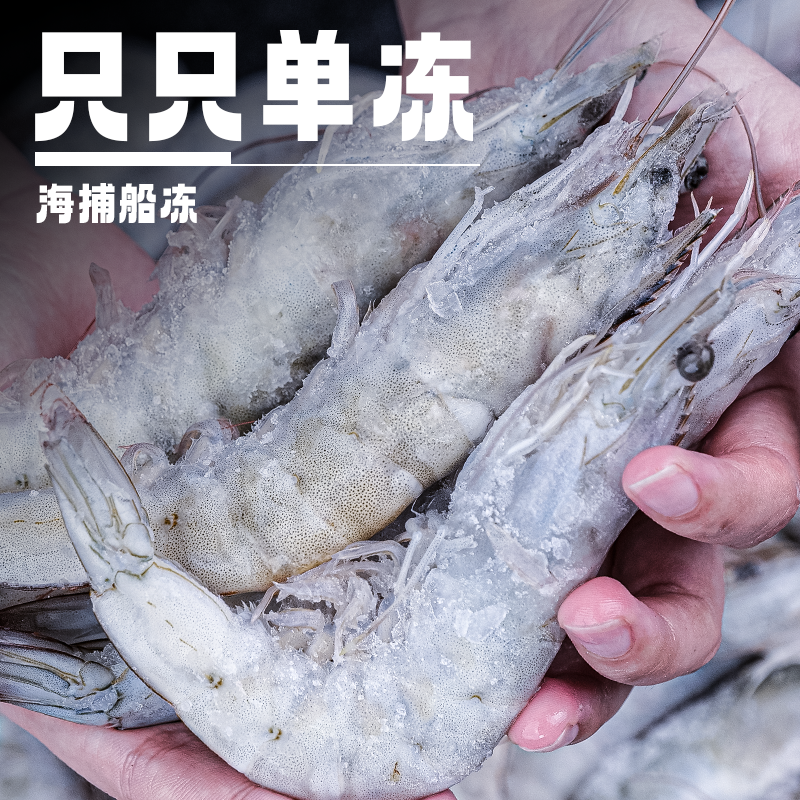 Fresh shrimps, quick-frozen, fresh extra large Qingdao prawns, frozen prawns, extra large prawns, sea green shrimps, seafood and aquatic products