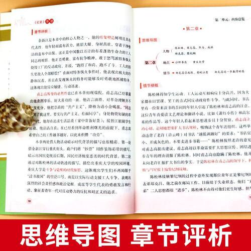 红星照耀中国和红岩人民教育出版社导读正版原著八年级上册必读的课外书初二课外阅读书籍名著8八上人教版书昆虫记K书目初中经典 - 图1