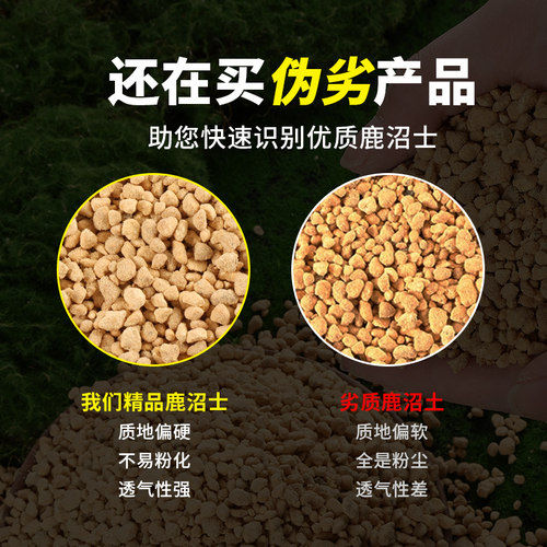 鹿沼土整包进口铺面鹿沼土颗粒小多肉铺面石种植土肉肉专用土硬质 - 图2