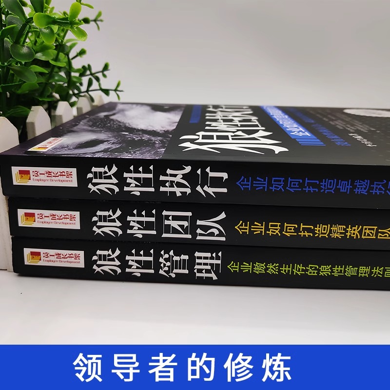 全套3册 狼性团队+狼性执行+狼性管理可复制的领导力领导者管理的成功法则不懂带团队就自己累员工培训教程团队企业管理方面的书籍 - 图0