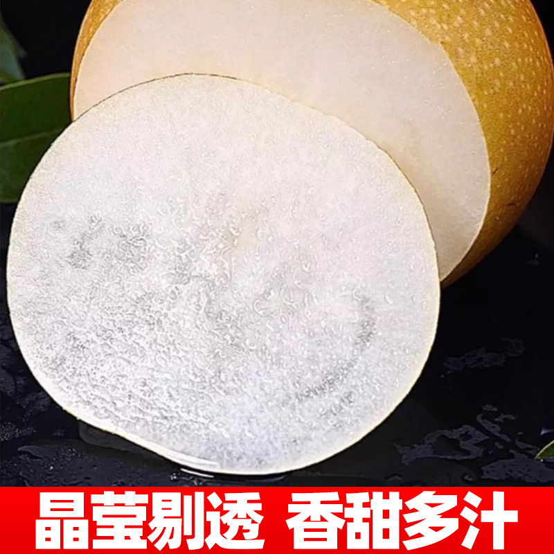 正宗山东青岛莱阳秋月梨新鲜水果当季冰糖雪梨子整箱10斤包邮脆甜 - 图2
