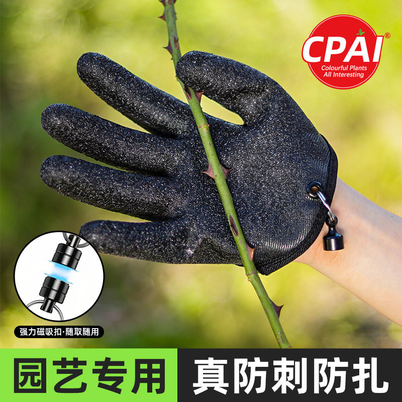 园艺磁吸手套防滑防刺耐磨防扎玫瑰种花专用带吸盘的手套赶海防水,淘宝优惠券,粉丝福利购,淘宝优惠卷