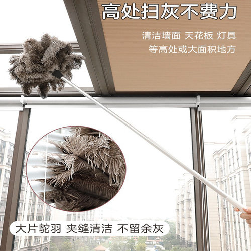 鸵鸟毛掸鸡毛掸子家用加厚清洁扫静电除尘神器打扫灰尘伸缩天花板 - 图2