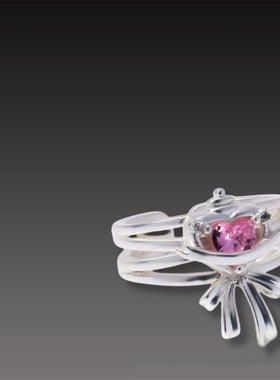 独特个性设计哈利波特系列戒指潮流电影联名周边学院礼物