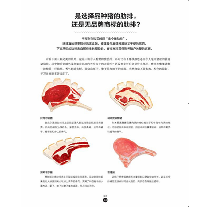 肉料理原来是这么回事儿/饮食生活新提案 中信出版社 [法]亚瑟·勒凯恩[法]让·格洛松 著 周劲松 译 都市手工艺书籍