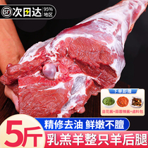 Sheep Leg Fresh Whole Only Raw Sheep Rear Leg Meat Now Kill Inner Mongolia Lamb Roast Goat Leg Semi-finished commercial 5 catties