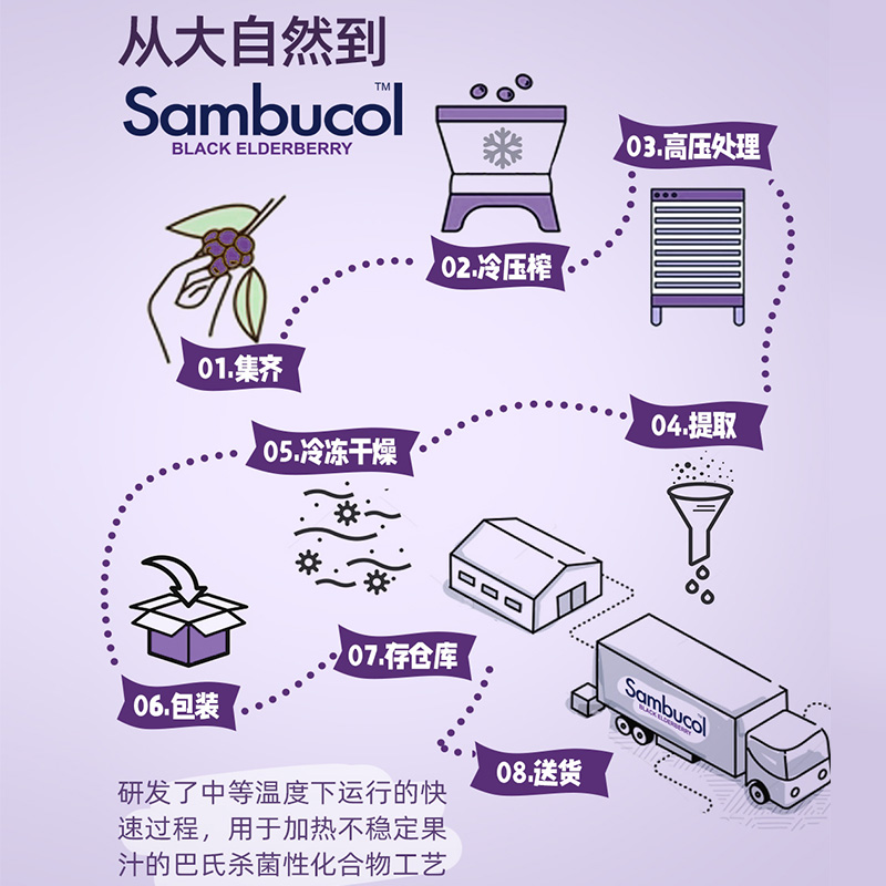 澳洲Sambucol黑接骨木莓小黑果全家通用提高免疫力糖浆250家庭装 - 图3