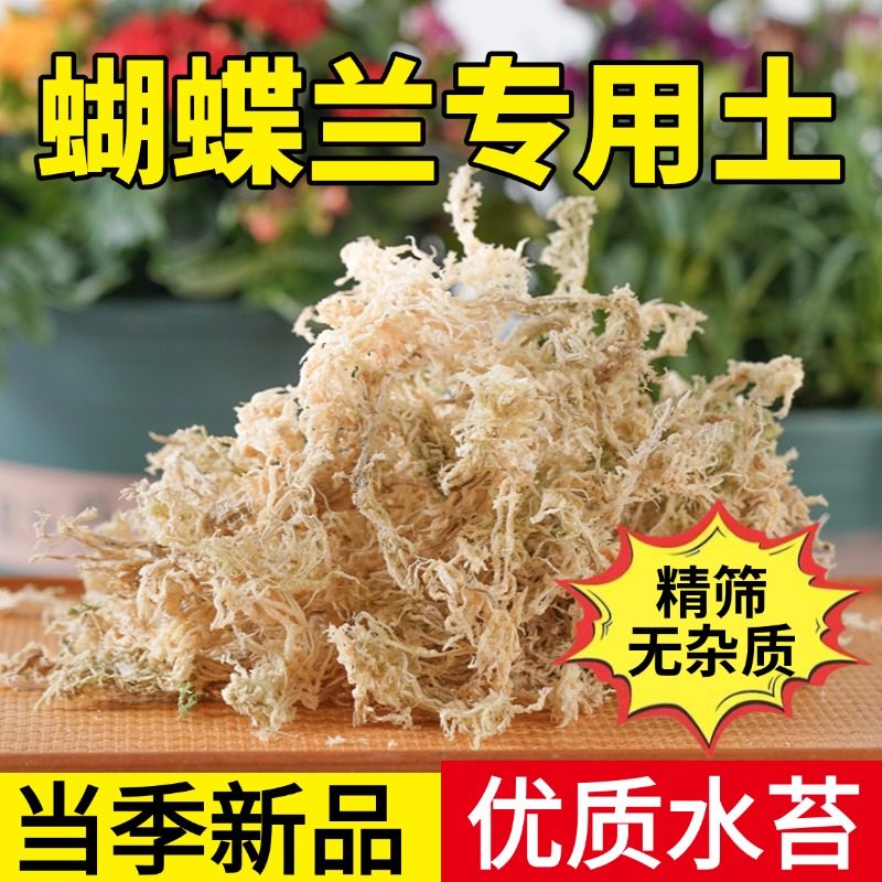 水苔蝴蝶兰专用土干苔藓青苔兰花营养土植料盆栽天然种植透气,淘宝优惠券,粉丝福利购,淘宝优惠卷