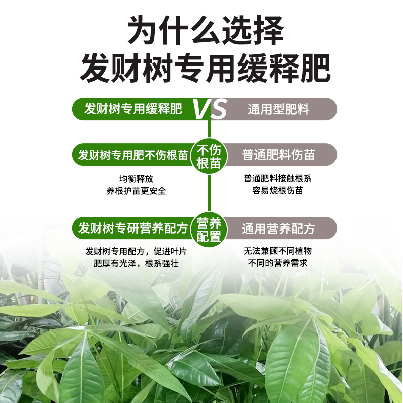 发财树肥料专用肥缓释营养肥花肥盆栽家用通用型氮磷钾绿植幸福树-图3