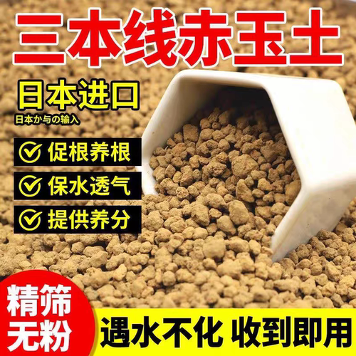 【真空分装】赤玉土三本线日本原装进口营养土专用铺面多肉盆景土 - 图2