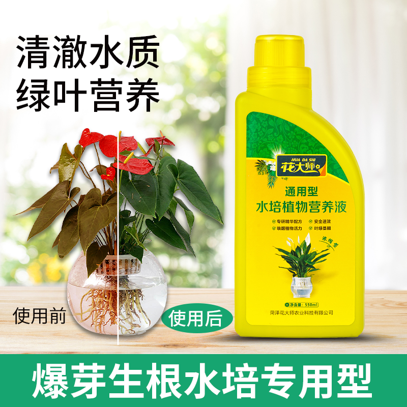 水培植物营养液富贵竹专用水养转运竹巴西木郁金香种球绿萝花肥料-图0