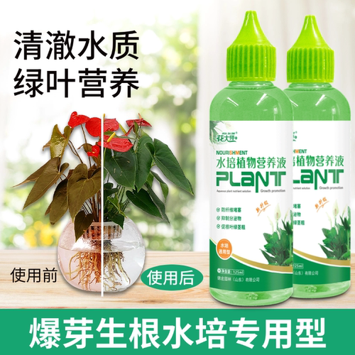 水培植物专用营养液富贵竹转运竹巴西木郁金香绿萝铜钱草通用肥料 - 图2