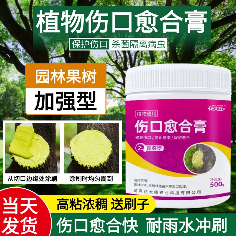 植物伤口愈合剂树木果树嫁接盆景树枝剪修苗木花卉切口兰花愈合膏,淘宝优惠券,粉丝福利购,淘宝优惠卷