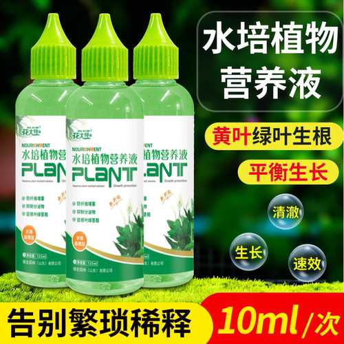 水培植物专用营养液富贵竹转运竹巴西木郁金香绿萝铜钱草通用肥料 - 图1