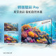 Sony K-65S303 series 65-inch 4K TV