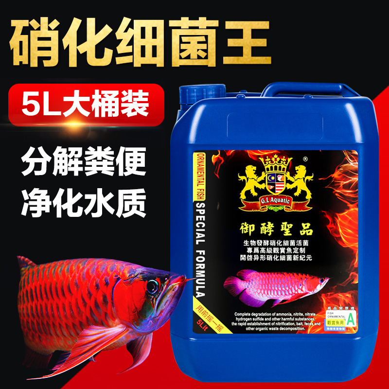 金狮龙魟鱼御酵圣品酸奶硝化活菌生物酵素乳酸菌水质维护益生菌 - 图2