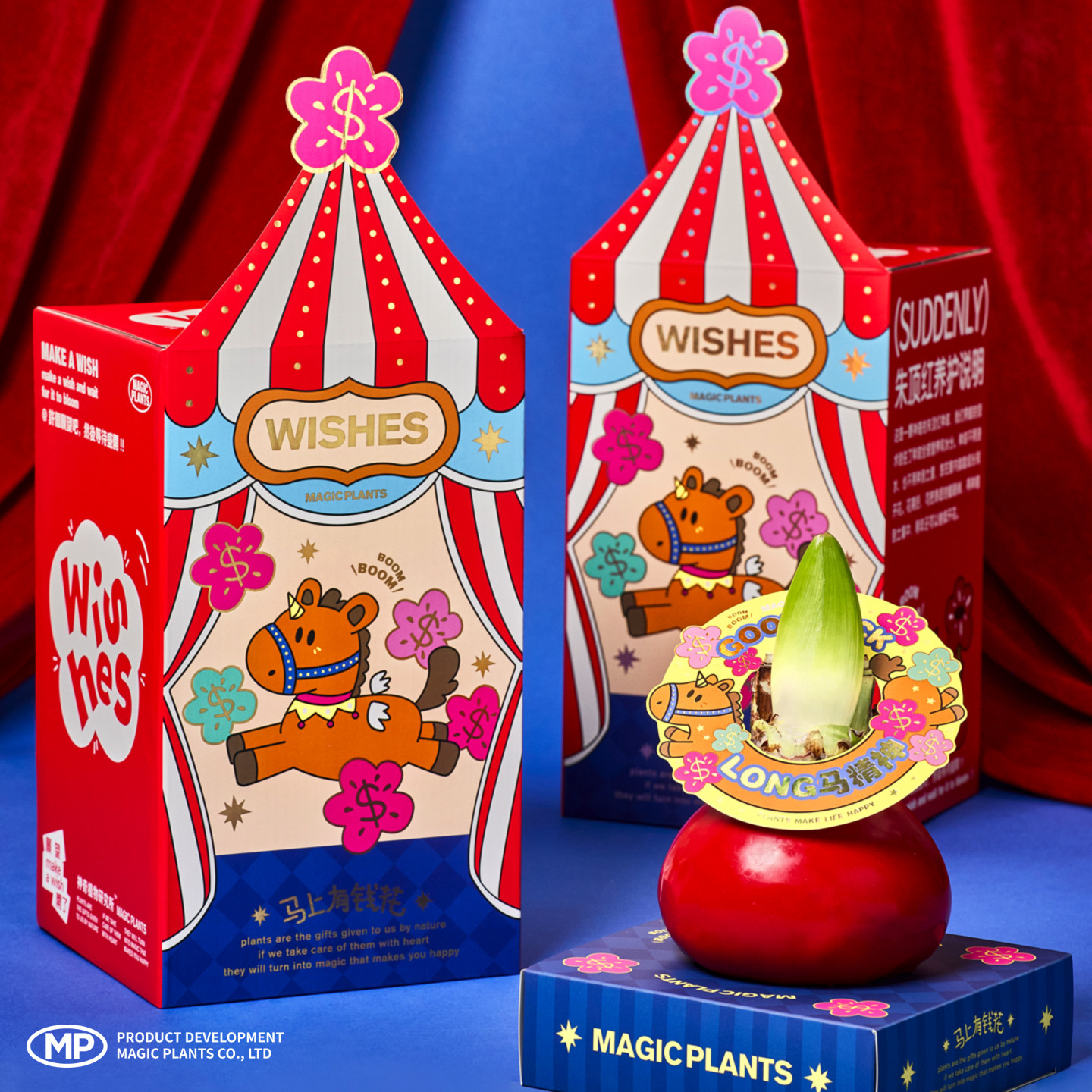 神奇植物蜡封朱顶红蜡球注定红懒人室内桌面植物年宵花新年礼物,淘宝优惠券,粉丝福利购,淘宝优惠卷