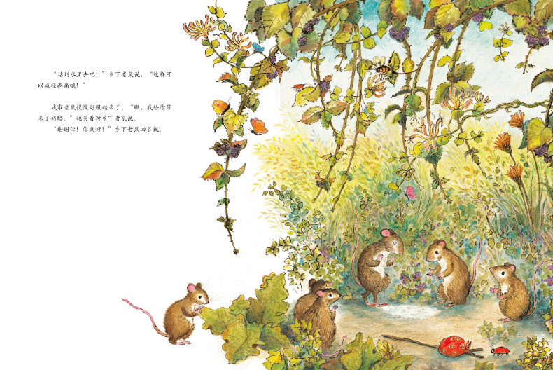 【点读版】城市老鼠和乡下老鼠 正版平装世界经典童话绘本儿童图书5-6-7-8岁宝宝绘本图画书亲子共读睡前故事海豚生命教育系列,淘宝优惠券,粉丝福利购,淘宝优惠卷