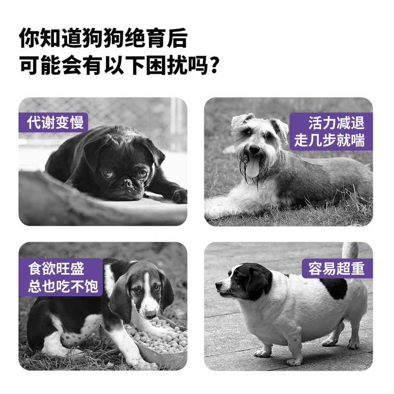商品缩略图 2