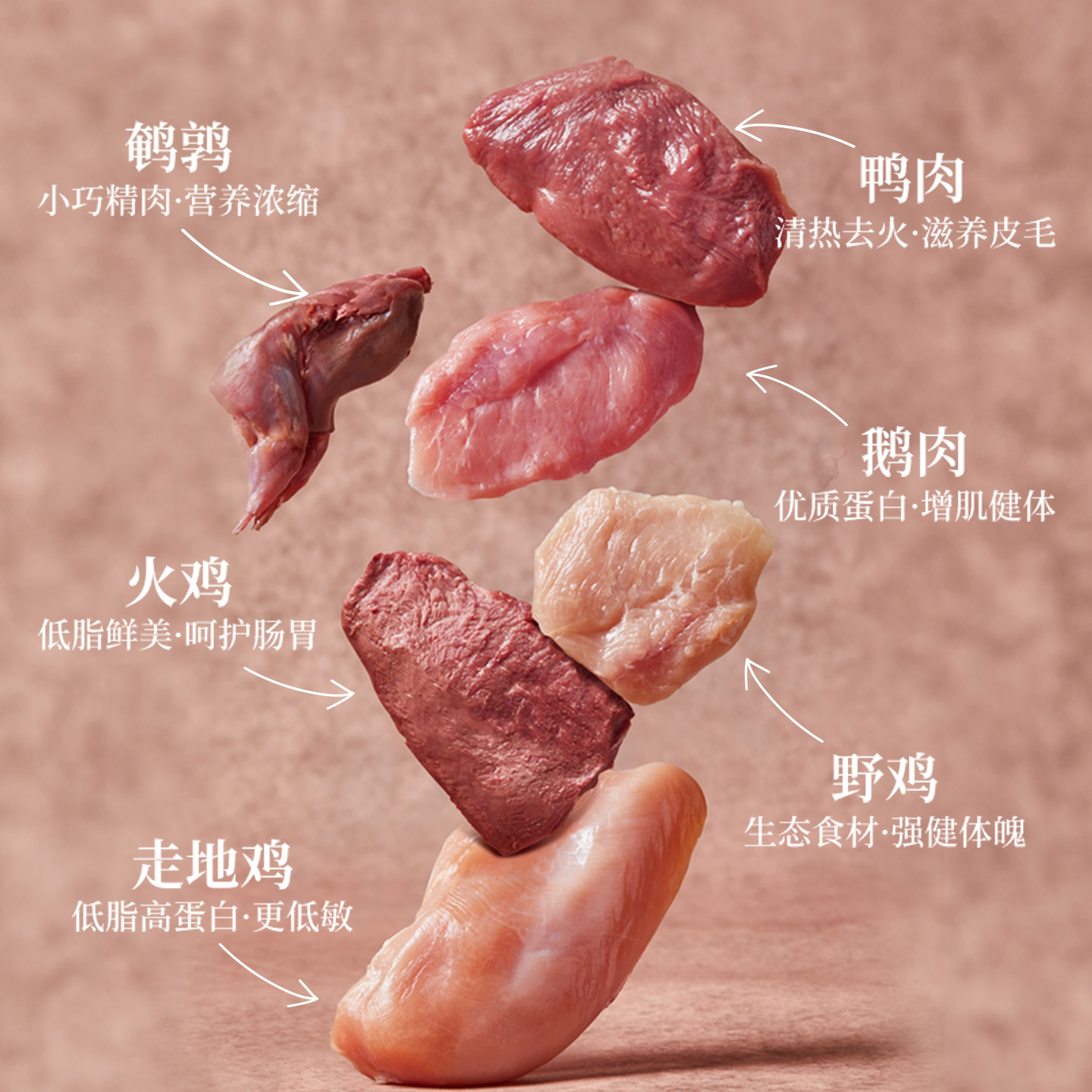 【自营】晟煜标Fromm福摩 无谷全家禽猎鸟配方猫粮 10LB