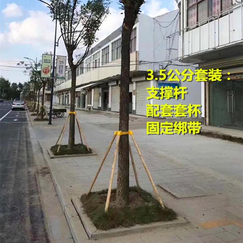 树木支撑架落地十字牢固卡u扣式支撑树架园林大树支架行道树防护