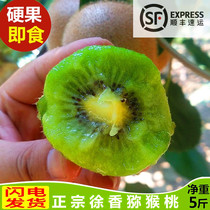 Week to brow county Xu Xiangqi Exotic Fruits Fresh 5 catties Non-Jiangshan Xu Xianghong Honghuang Pregnant Women Fruits