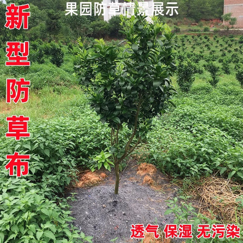 新款防长草布防草布除草地膜保湿布盖草布除草地布防长草布遮草膜 - 图0