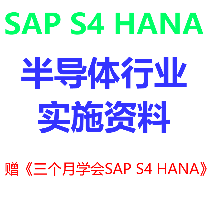 2023年5月上线半导体SAPS4HANA项目资料调研蓝图流程图配置专题 - 图3