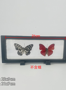 蝴蝶标本展示盒PET膜悬浮框标本