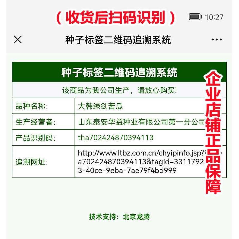 种子神绿大苦瓜韩绿剑顺直油绿高产抗病商品性佳农家春秋播种精选 - 图3